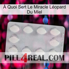 À Quoi Sert Le Miracle Léopard Du Miel 16